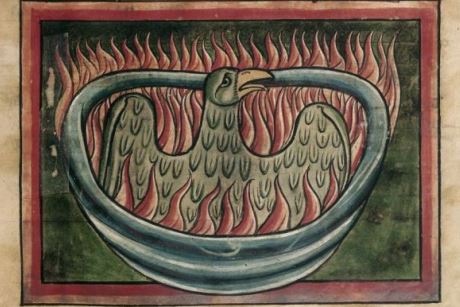 A phoenix rising from the ashes in a 13th-century bestiary 